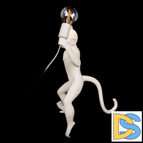 Настенный светильник Loft IT Monkey 10314W/B