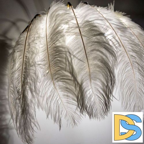 Настенный светильник Modestyle MS.965.02 BS