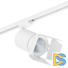 Трековый светильник Lightstar Canno LED (303264+202996) C326496