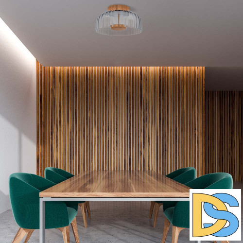 Потолочный светильник Lightstar Celesta 809061