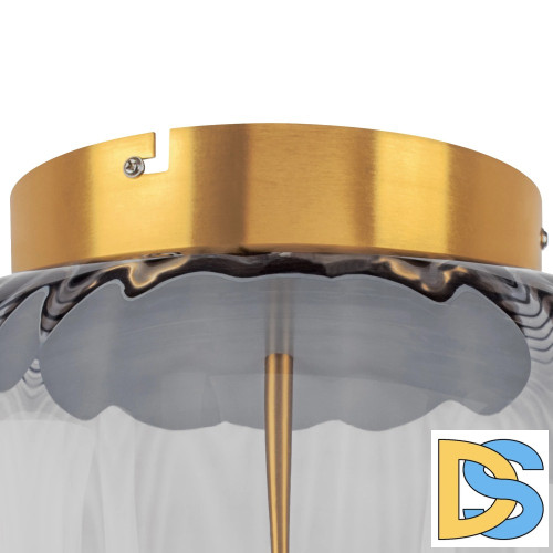 Потолочный светильник Lightstar Celesta 809061