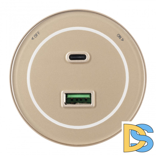Трековая розетка Arte Milano Am-track-sockets-39 399732TS/USB-Type-C Gold