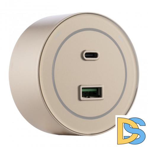 Трековая розетка Arte Milano Am-track-sockets-39 399732TS/USB-Type-C Gold