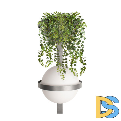 Настенный светильник Loft IT Jardin 10121W/B Dark grey