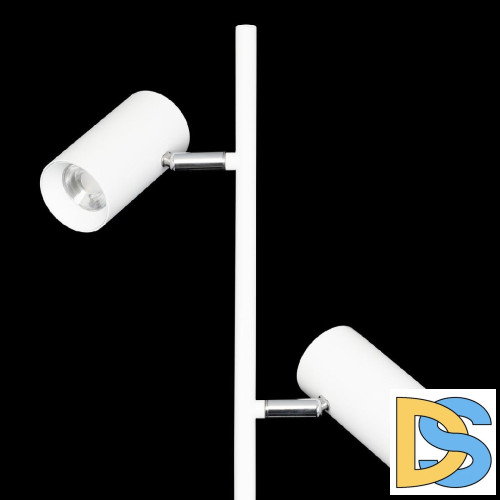 Торшер Citilux Twin CL809010N