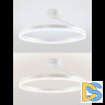 Потолочная люстра Natali Kovaltseva Finam LED LAMPS 81121/1C