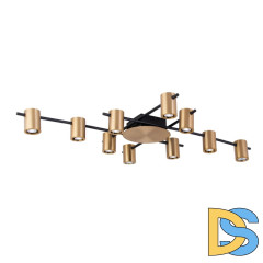 Потолочная люстра Aployt Elwisia APL.633.07.10