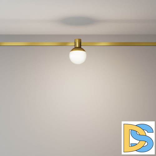 Трековый магнитный светильник Maytoni Luna TR149-1-5W4K-BS