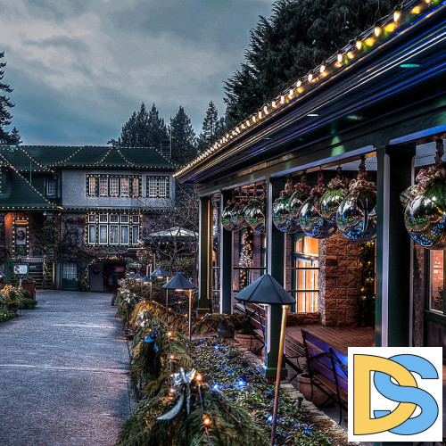 Гирлянда Белт-лайт Feron CL25-100 48167