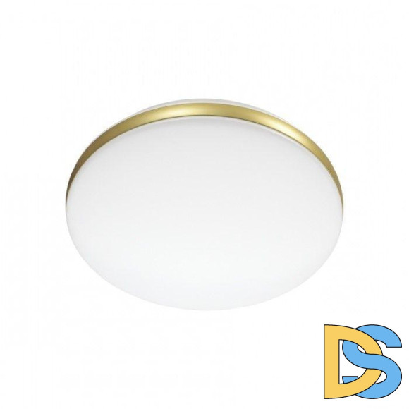 Настенно-потолочный светодиодный светильник Sonex Ringo 7626/CL