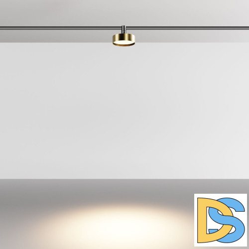 Трековый магнитный светильник Maytoni Zon TR204-1-12W3K-BBS