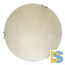 Настенно-потолочный светодиодный светильник Toplight Jane TL9640Y-00WH