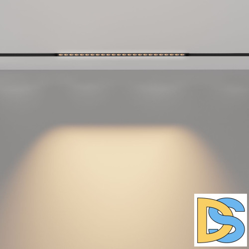 Трековый магнитный светильник Maytoni Points TR031-2-24W3K-B