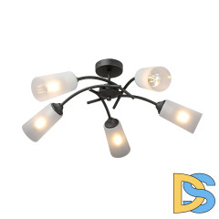 Потолочная люстра Vitaluce V2850-1/5PL