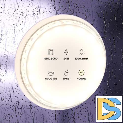 Светодиодная лента Maytoni Technical 24В 5050 14,4Вт/м 4000K IP65 10172