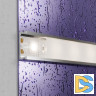 Светодиодная лента Maytoni Technical 24В 5050 14,4Вт/м 4000K IP65 10172