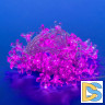 Светодиодная гирлянда (07933) Uniel Сакура 220V розовый ULD-S0700-050/DTA PINK IP20 PINK SAKURA