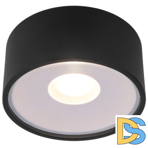 Уличный потолочный светильник Elektrostandard Light LED 4690389180156