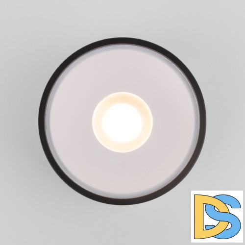 Уличный потолочный светильник Elektrostandard Light LED 4690389180156