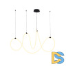 Подвесной светильник Arte Lamp Klimt A2850SP-80BK
