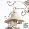 Потолочная люстра Arte Lamp 7 A4577PL-5WG