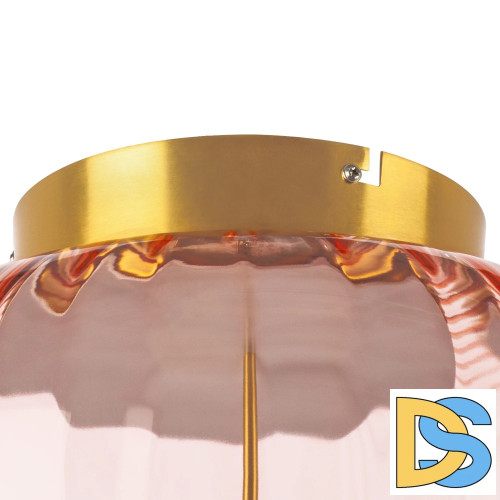 Потолочный светильник Lightstar Celesta 809062