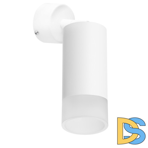 Встраиваемый спот Lightstar Rullo RB43631 (214436+590006+202431)