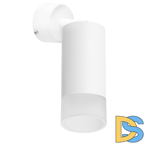 Встраиваемый спот Lightstar Rullo RB43631 (214436+590006+202431)