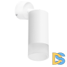 Встраиваемый спот Lightstar Rullo RB43631 (214436+590006+202431)