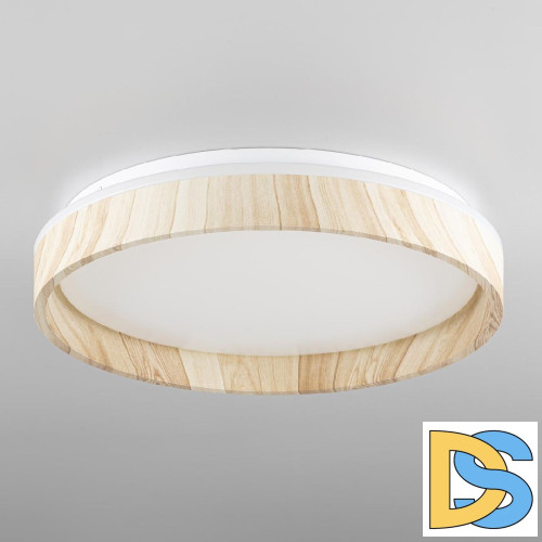 Потолочный светильник Citilux Enzo CL753352G