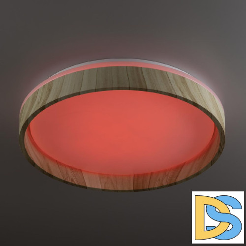 Потолочный светильник Citilux Enzo CL753352G