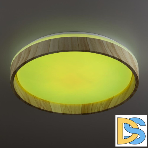 Потолочный светильник Citilux Enzo CL753352G