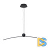 Подвесная люстра Arte Lamp Arno A3362SP-25BK
