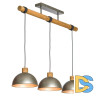 Подвесной светильник Lussole Loft GRLSP-8149