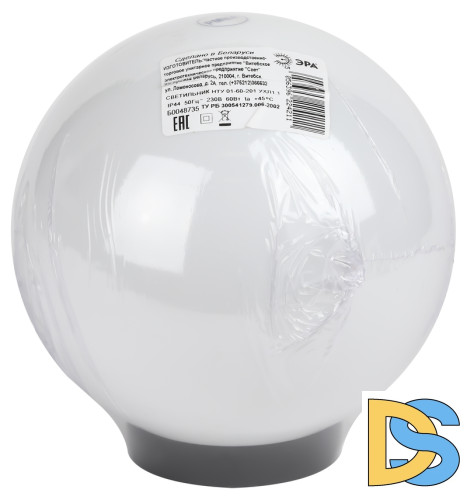 Уличный светильник Эра НТУ 01-60-201 Б0048735