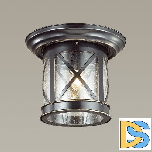 Уличный светильник Odeon Light Sation 4045/1C