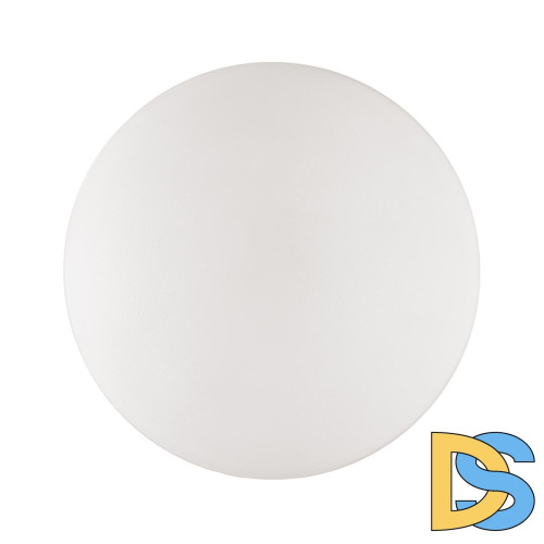 Настенно-потолочный светильник Sonex Smalli 3050/AL