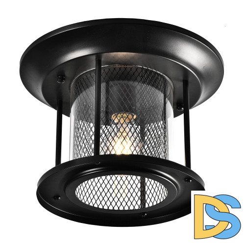 Уличный потолочный светильник Feron Бордо PL723 48387