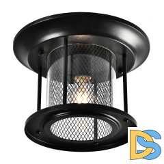 Уличный потолочный светильник Feron Бордо PL723 48387