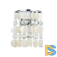 Бра Arte Lamp Pipirima A4041AP-2CC