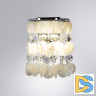 Бра Arte Lamp Pipirima A4041AP-2CC