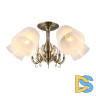 Потолочная люстра Omnilux Leonessa OML-29117-05