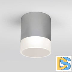 Уличный потолочный светильник Elektrostandard Light LED 4690389177965