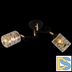 Люстра на штанге Reluce 11313-0.3-02 BK+FGD