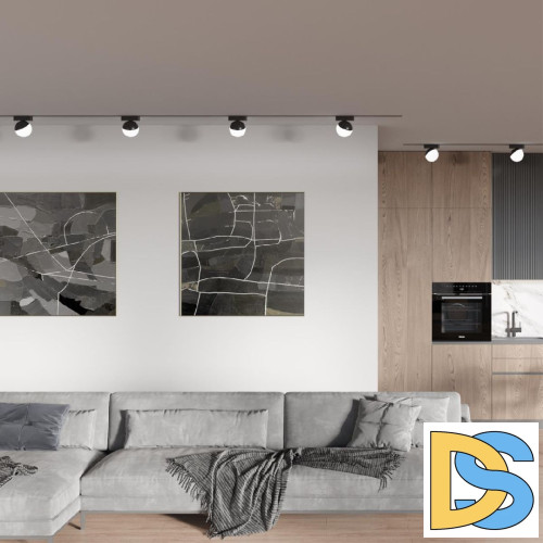 Трековый магнитный светильник Novotech Smal 359262