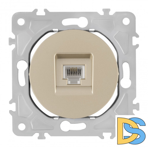 Розетка RJ45 Arte Milano 202.45-1.shampan