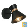 Спот Arte Lamp Baltimore A1406AP-1BK