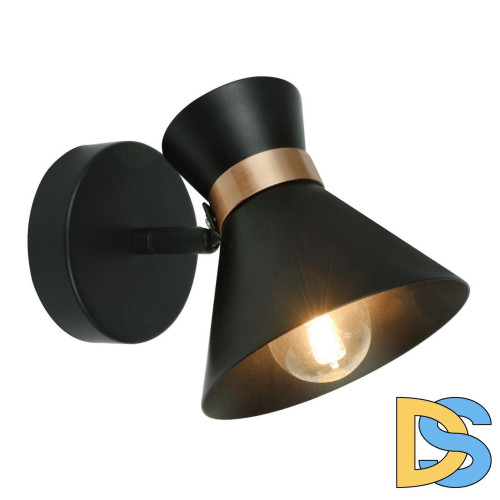 Спот Arte Lamp Baltimore A1406AP-1BK