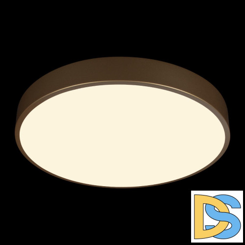 Потолочный светильник Loft IT Flims 10228/A