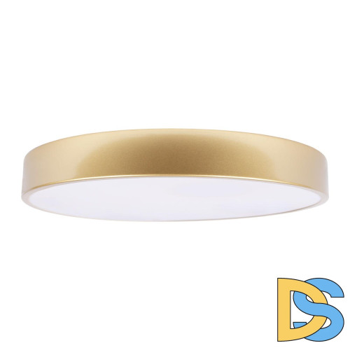 Потолочный светильник Loft IT Flims 10228/A